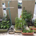 IMG20220620105754 (002).jpg